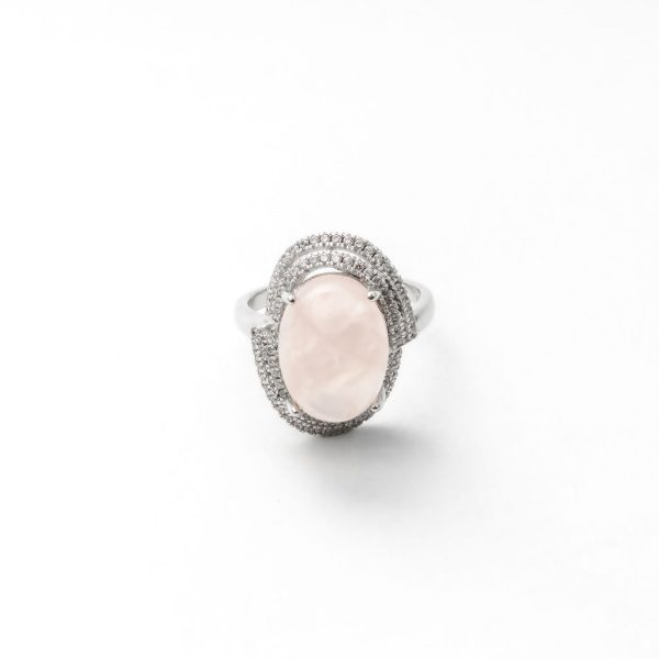 CAMI - Image 2